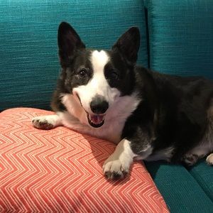 Meet your Posher, Debra